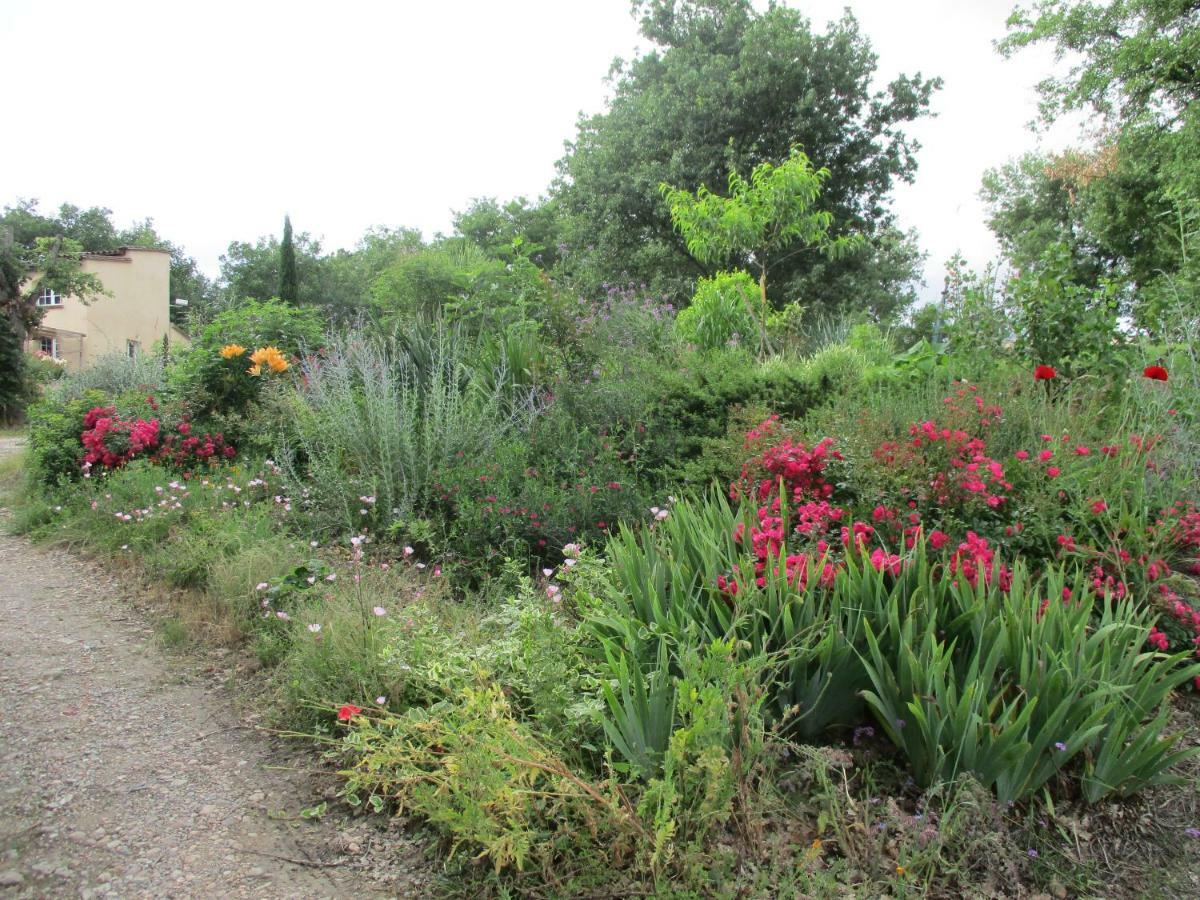 Appartamento Bienvenue Dans Notre Petit Paradis Pelleport Esterno foto